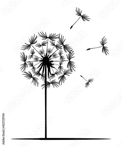 Dandelion flower. Black silhouette of a dandelion on a white background. Lonely plant, straight stem, flying seeds. Vector illustration, monochrome image. Template design, stickers, sublimation.