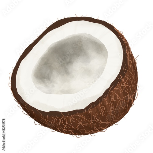 illustrierte offene Kokosnuss mit Fruchtfleisch und Schale als Freisteller auf weißem Grund