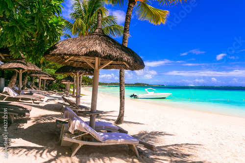Tropical vacation, relaxing beach scenery. with beach chairs under palm trees and umbrellas