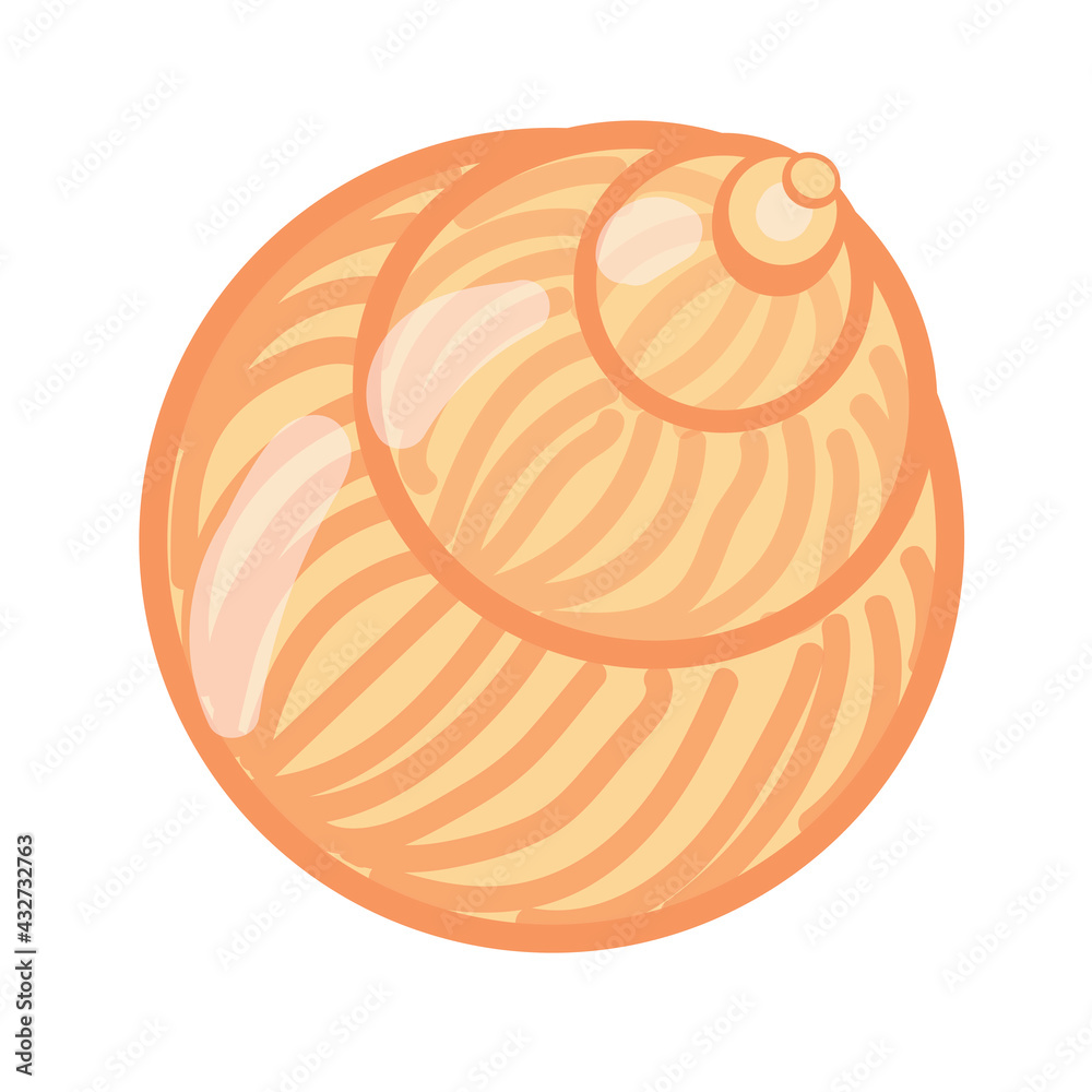 Seashell brown in cartoon style. Stock vector illustrations isolated on white background. Seashell brown in cartoon style. Stock vector illustrations isolated on white background.