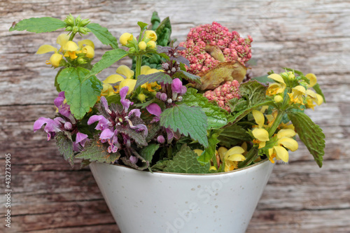 rhubarb blossom and dead nettles photo