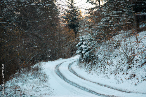 Road in a snowy forest in winter