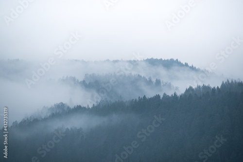 Fog coming out of mountains