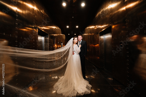 Bilde på lerret bridegroom and bride in a elegant dress, with a veil in a dark corridor