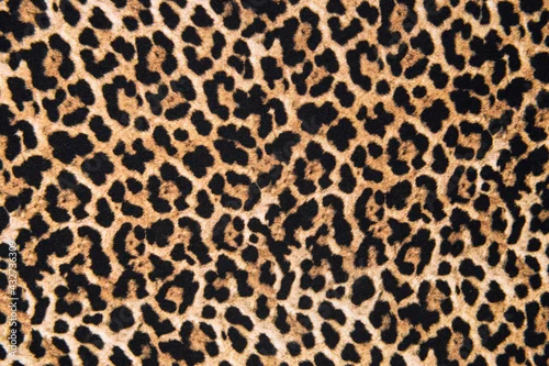 Obraz Animal print textile texture. Leopard fur background