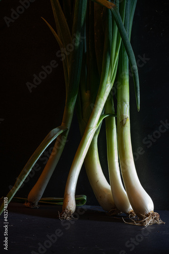 Fresh young onions with black blacground photo