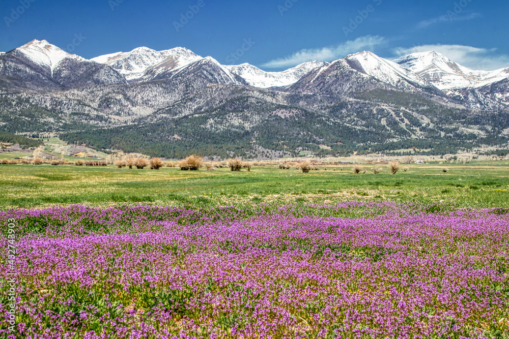 Fototapeta premium The Sangre De Cristo Mountain range at Spring