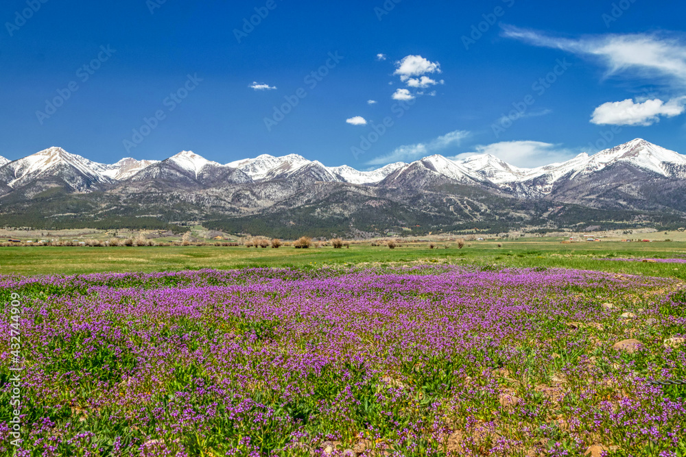 Fototapeta premium Westcliffe Colorado Sangre De Cristo Mountains America USA 