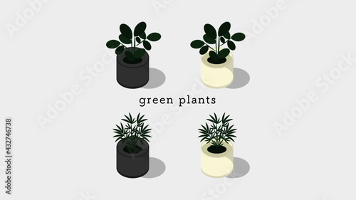 植物,観葉植物,イラスト,グリーン,葉っぱ,自然,インテリア,ガーデニング,ナチュラル,新鮮,鉢植え,植木鉢