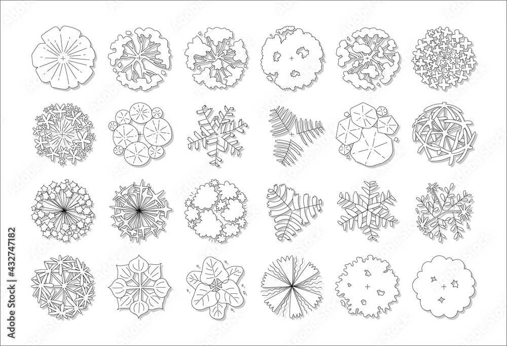hand drawn vector set of top view tree.