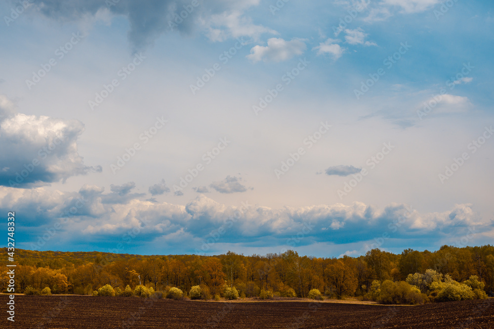 Obraz premium Field, forest and sky with clouds.