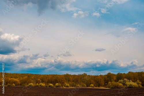 Field, forest and sky with clouds.