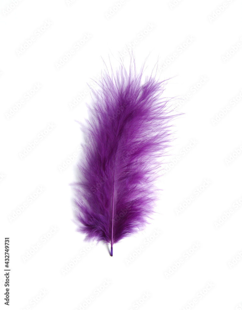 Violet ink plume, bird feather on white background Violet ink plume, bird feather on white background