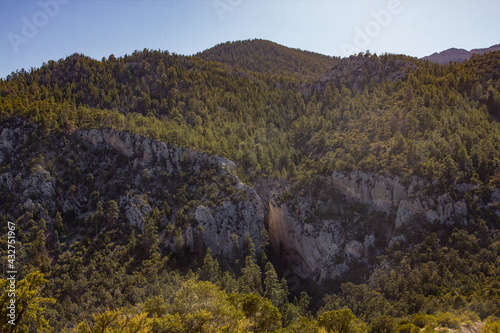 autumn landscape in the mountains
