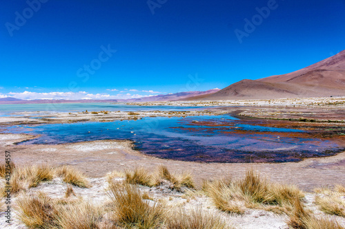 Fototapeta Naklejka Na Ścianę i Meble -  Blue lake and the mountains with snow on top at Salar de Chalviri, Bolívia 