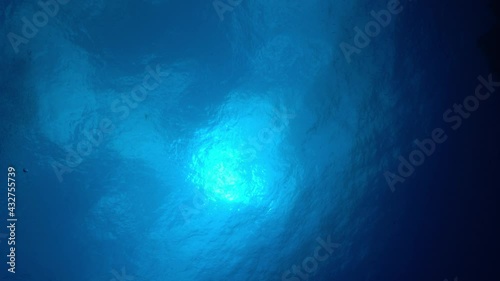 海底から見上げる太陽とエアー　小笠原