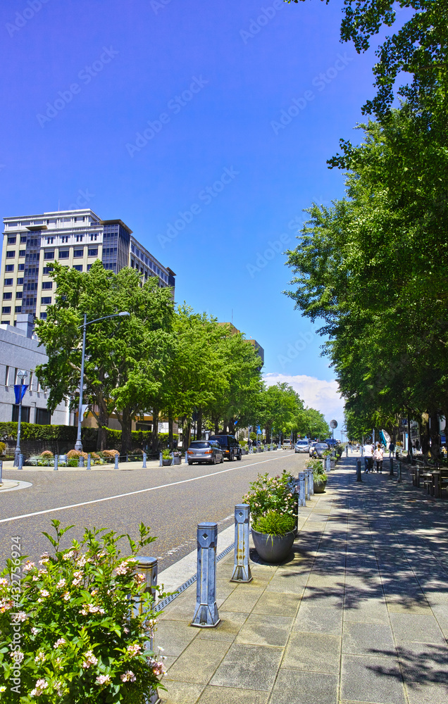 新緑の横浜。日本大通りの街並み。
