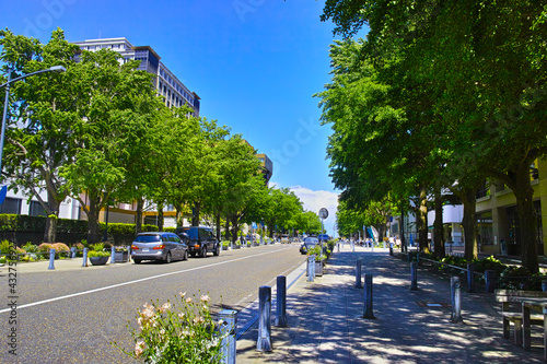 新緑の横浜。日本大通りの街並み。