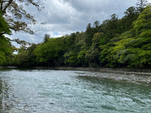 river in the forest