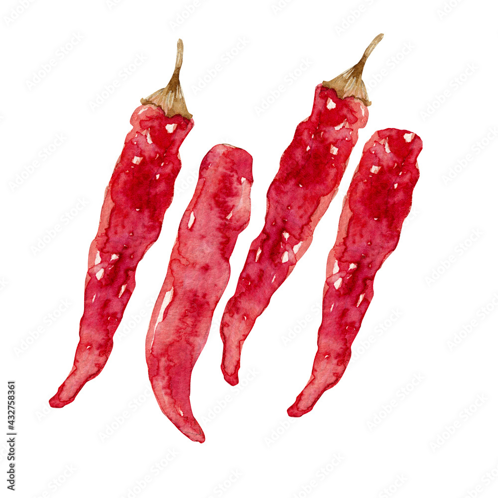 チリペッパー レッドペッパー 唐辛子 スパイス 香辛料 野菜 水彩 イラスト Stock Illustration Adobe Stock