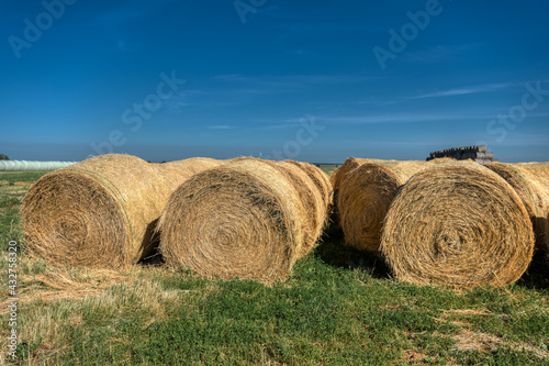 The straw bales.