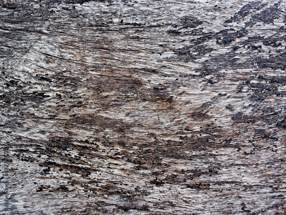 Old grunge wooden wall texture background. Old grunge wooden wall texture background.