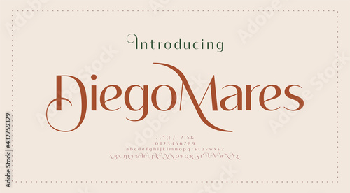 Luxury wedding alphabet letters font and number. Typography elegant classic lettering serif fonts decorative vintage retro concept. vector illustration