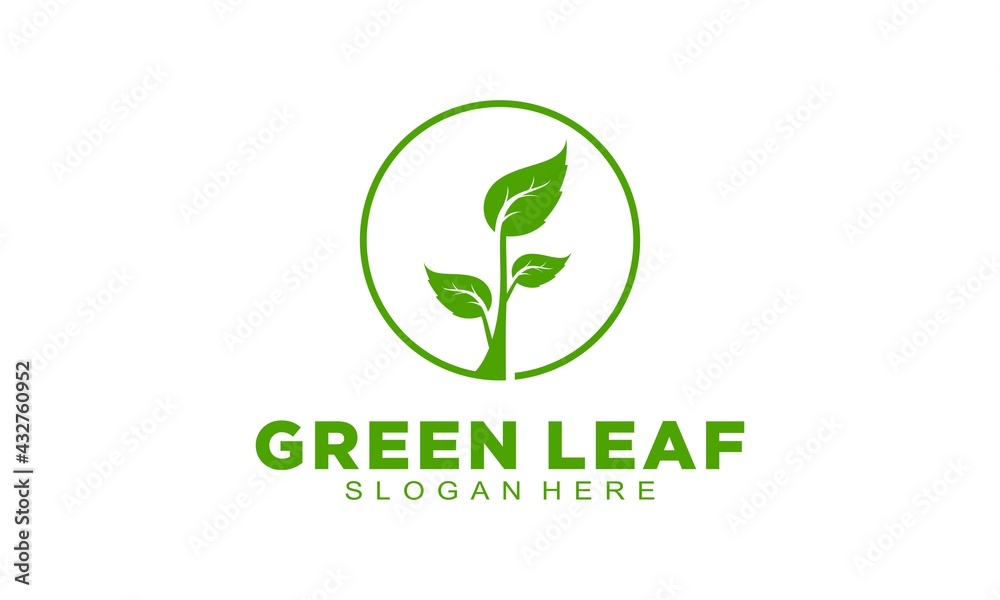 Green leaf elegant logo
