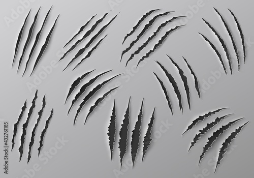 Claw marks, scratches and torn traces of vector animal paw slashes. Monster claw marks of wild tiger, lion, cat or bear attacks, dinosaur or werewolf aggressive traces, Halloween or horror themes