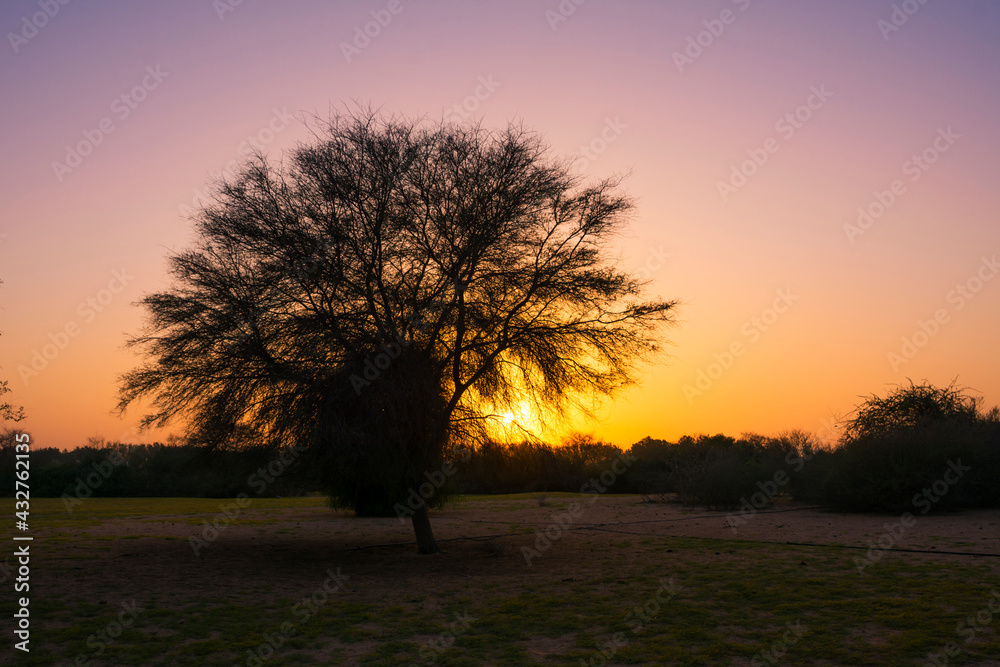 Fototapeta premium sunset