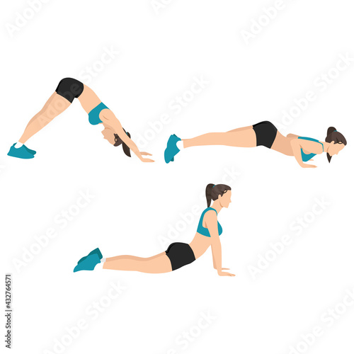 Woman doing hindu. judo push up. dive bombers exercise flat vector illustration isolated on white background