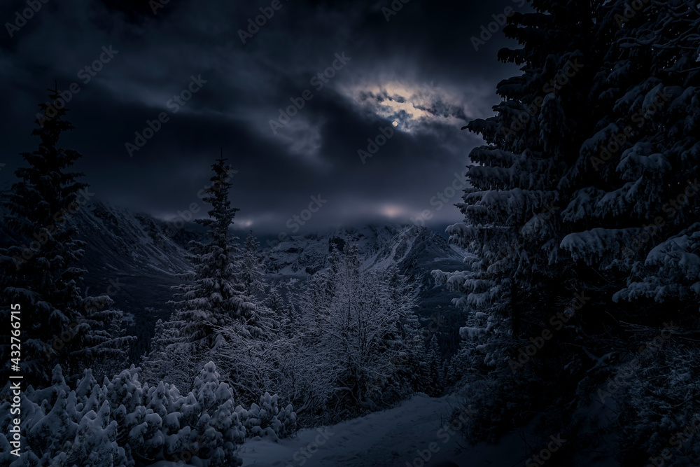 Dark night view in Tatra Mountains. Moonlit path and coniferous forest, the moon can be seen through dispersing clouds. Selective focus on the plants, blurred background.