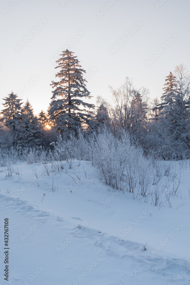 Fototapeta premium Snow and rime in winter in Changbai Mountain, Jilin Province, China