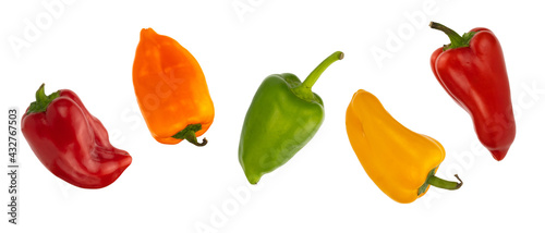 colorful small peppers on a white background. Sweet pepper Mini Bell. assorted paprika.