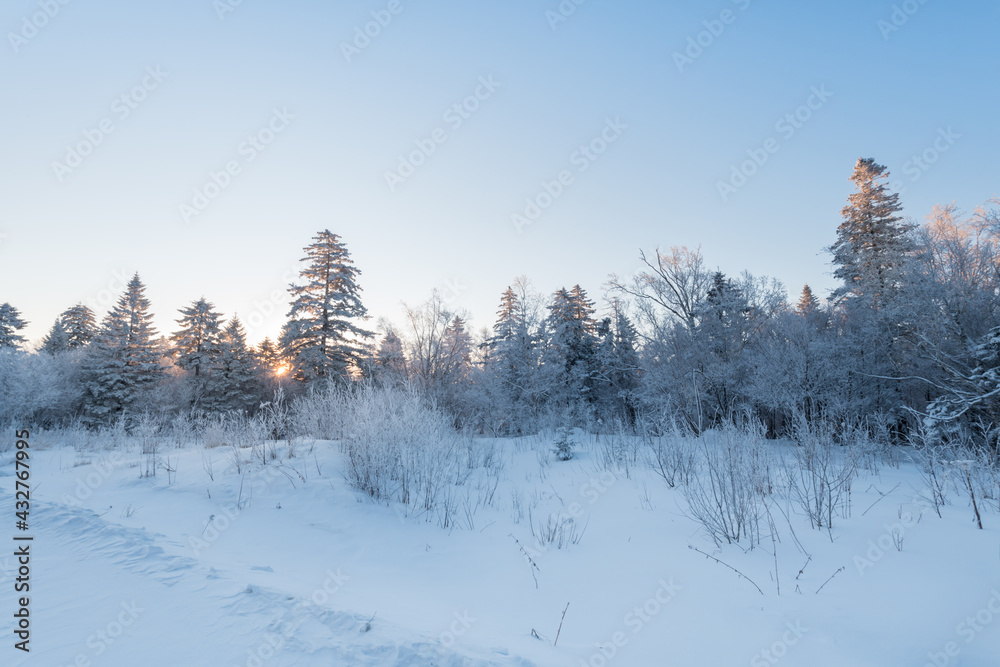 Fototapeta premium Snow and rime in winter in Changbai Mountain, Jilin Province, China