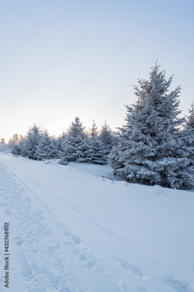 Fototapeta premium Snow and rime in winter in Changbai Mountain, Jilin Province, China