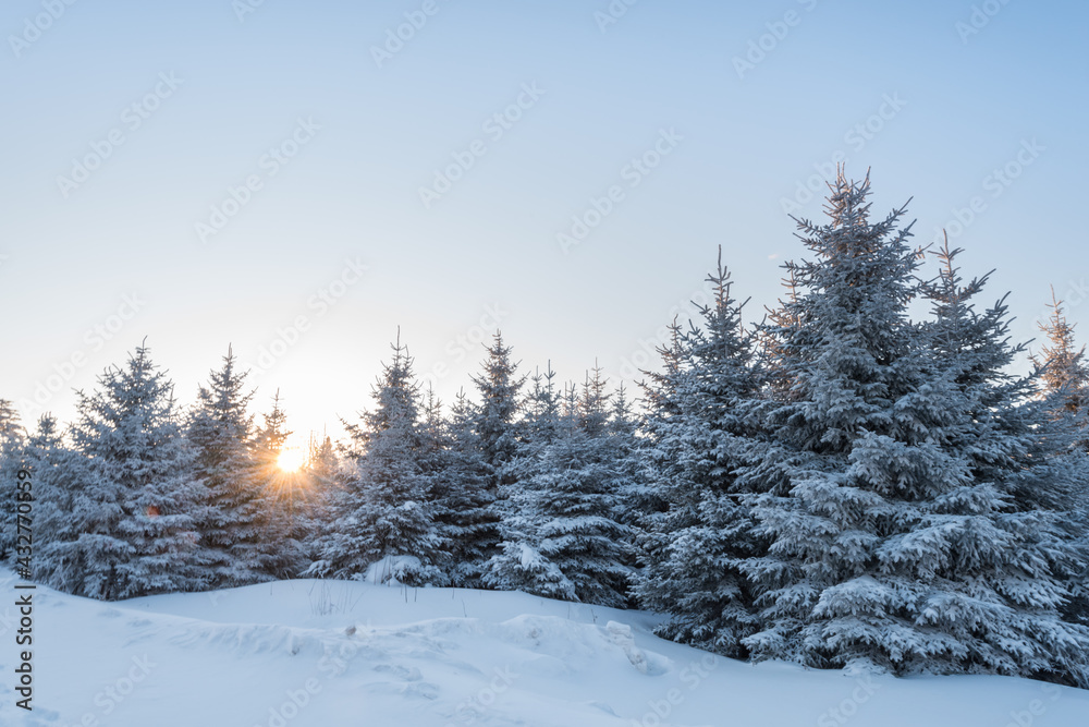 Snow and rime in winter in Changbai Mountain, Jilin Province, China Snow and rime in winter in Changbai Mountain, Jilin Province, China