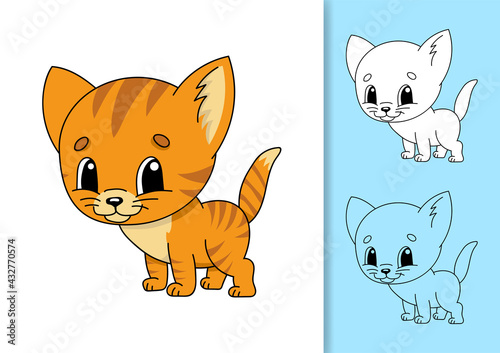 Pet cat. Set of vector illustrations isolated on white and colored background. Design element. Black stroke. Cartoon style.