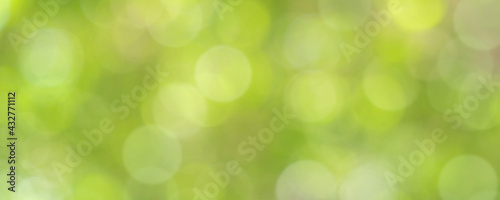 nature of green leaf bokeh in garden at summer under sunlight. natural bokeh of green leaves plants using as spring background and environment ecology or greenery wallpaper