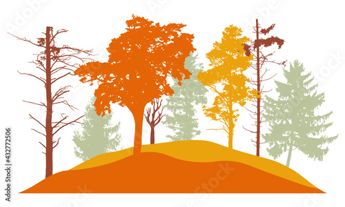 Autumn forest, silhouette of bare tree, trees with leaves and fir trees. Beautiful nature, landscape. Vector illustration