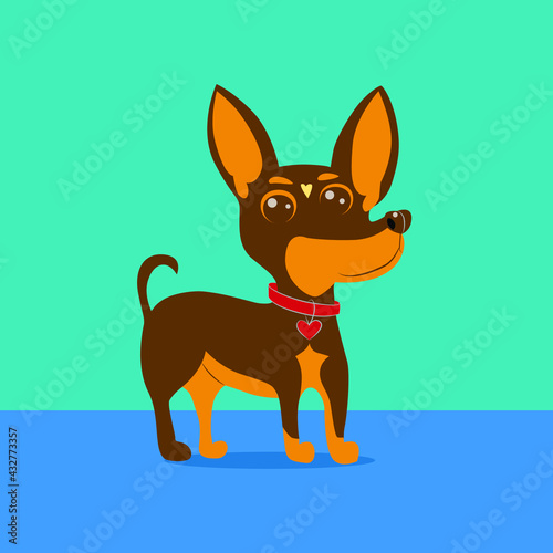 Illustration of a small dog of the Chihuahua breed. Vector drawing of a small dog.