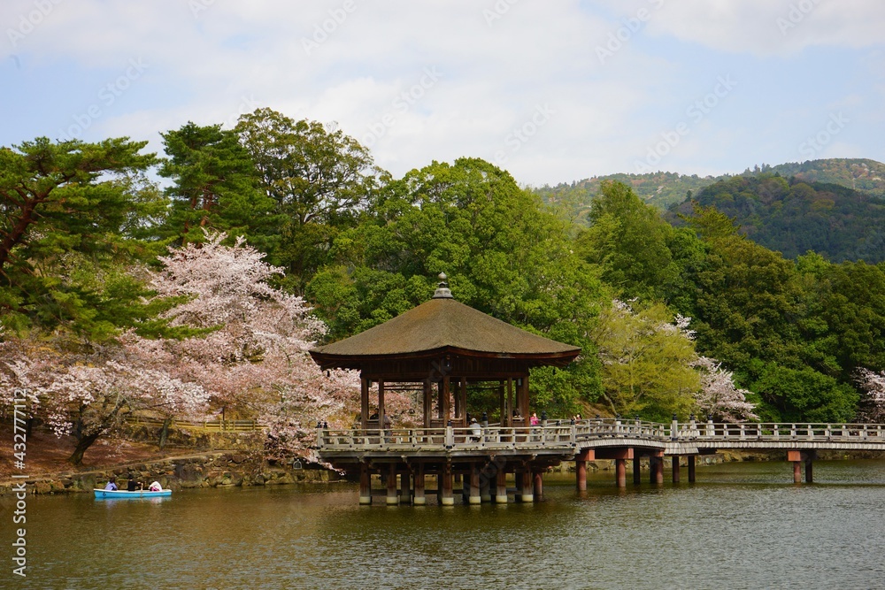Ukimido Pavilion on Sagi-ike pond with Sakura, Cherry Blossoms, in Nara park, Japan, isolated - 日本 奈良 奈良公園 春の桜 浮見堂 Ukimido Pavilion on Sagi-ike pond with Sakura, Cherry Blossoms, in Nara park, Japan, isolated - 日本 奈良 奈良公園 春の桜 浮見堂