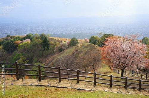 Aerial view of Nara city from Mount Wakakusa (Wakakusa-yama) during spring - 若草山 山頂展望台からの眺望 桜の花