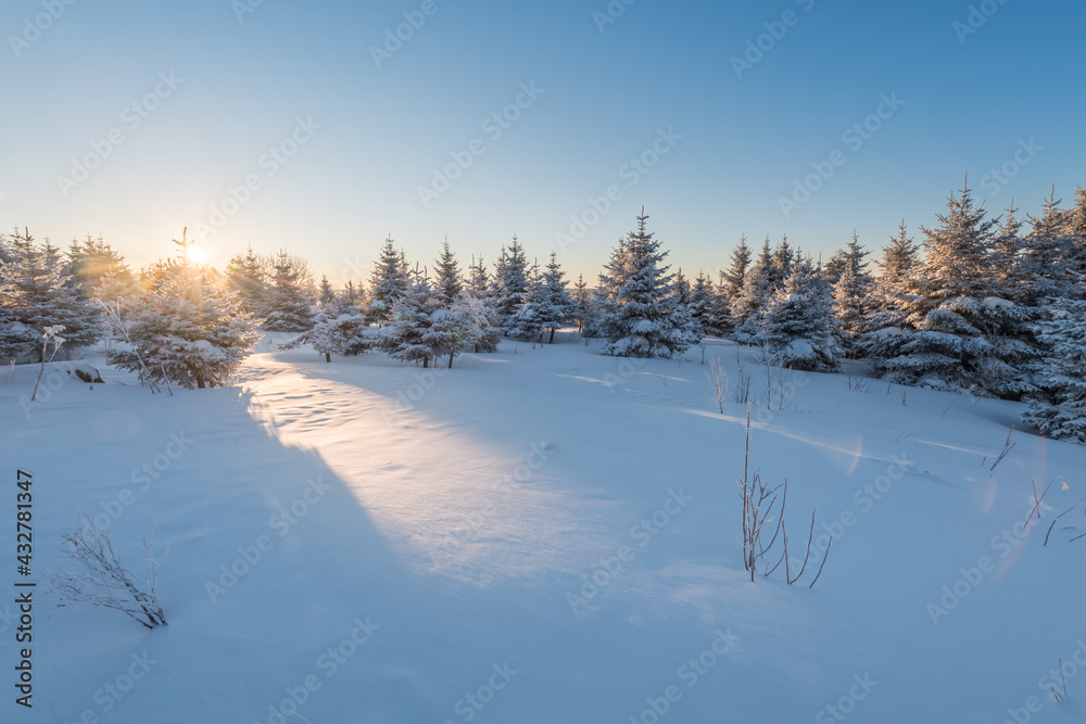 Snow and rime in winter in Changbai Mountain, Jilin Province, China Snow and rime in winter in Changbai Mountain, Jilin Province, China