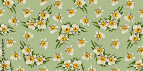 Seamless pattern with daffodil flowers on a light green background