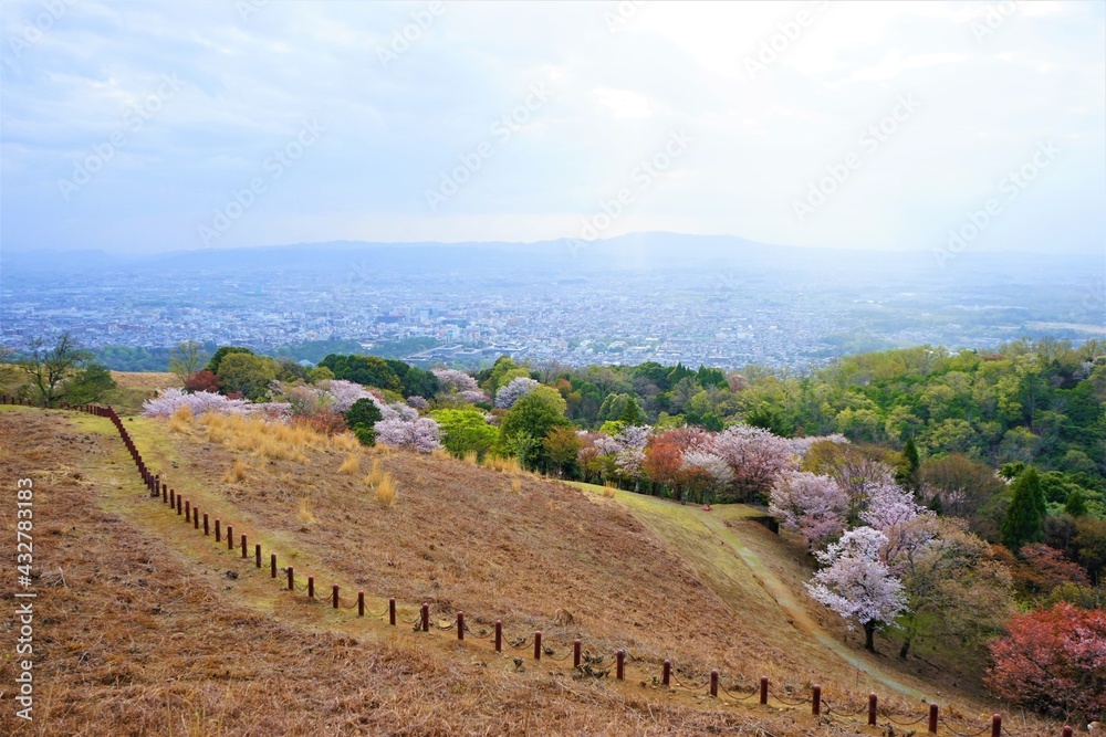 Aerial view of Nara city from Mount Wakakusa (Wakakusa-yama) during spring - 若草山 山頂展望台からの眺望 桜の花