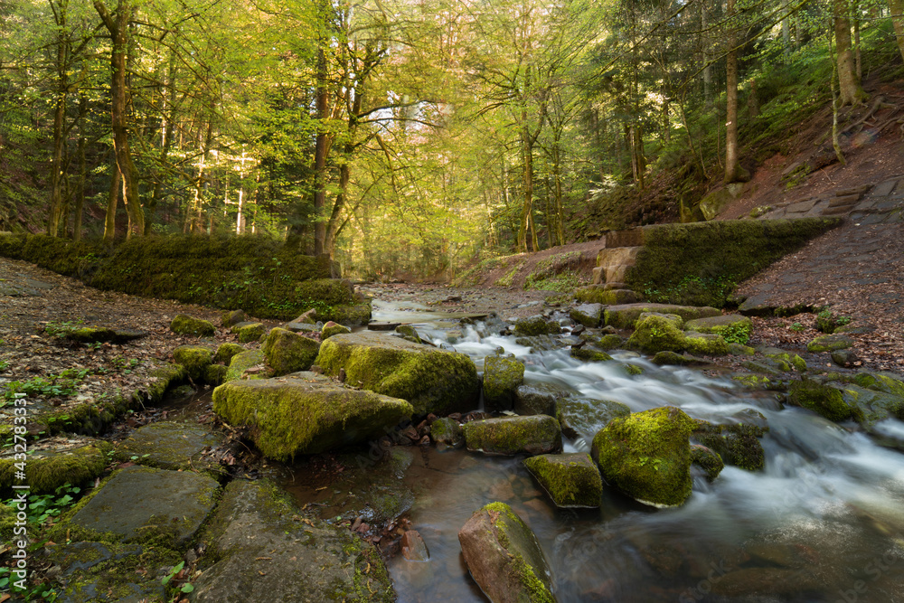 Wunderschöner Fluss im Wald 