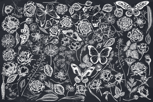 Vector set of hand drawn chalk shepherd's purse, heather, iris japonica, sakura, gypsophila, chamomile, almond, poppy flower, calendula, menelaus blue morpho, blue morpho, lemon butterfly, red