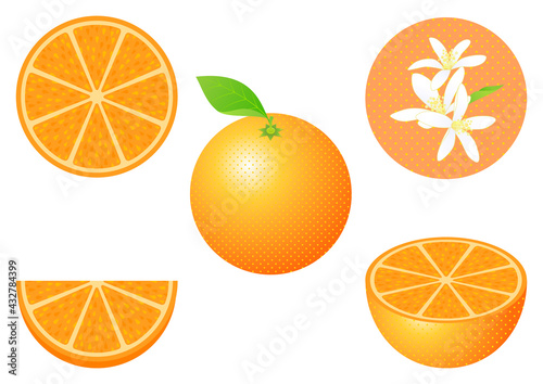 オレンジのフルーツカットと花のセット