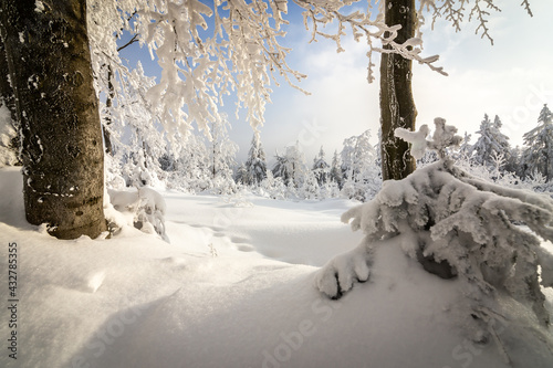 Fototapeta Naklejka Na Ścianę i Meble -  Wielka Sowa punkt widokowy w Górach Sowich w Sudetach